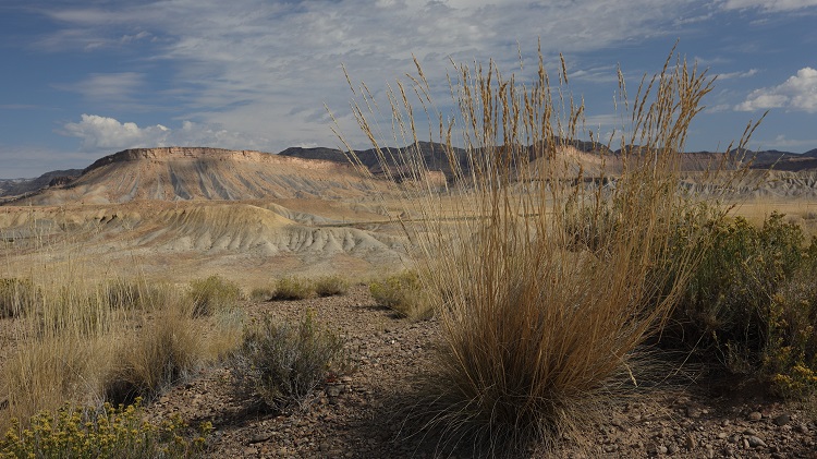 am MASKENT WARMUP 5 2