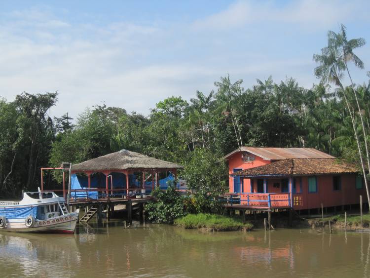 amazonastormenta de viento 131