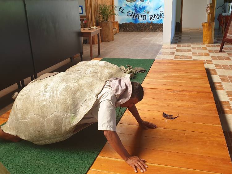 Galapagos ember teknőspáncéllalx