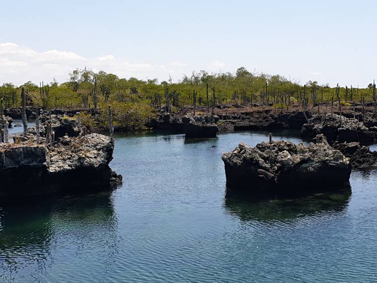 Galapagos sziklás partx