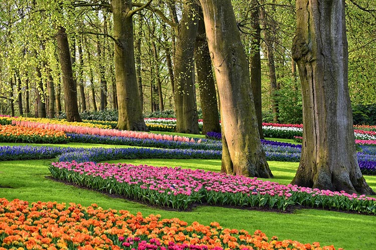 Keukenhof02