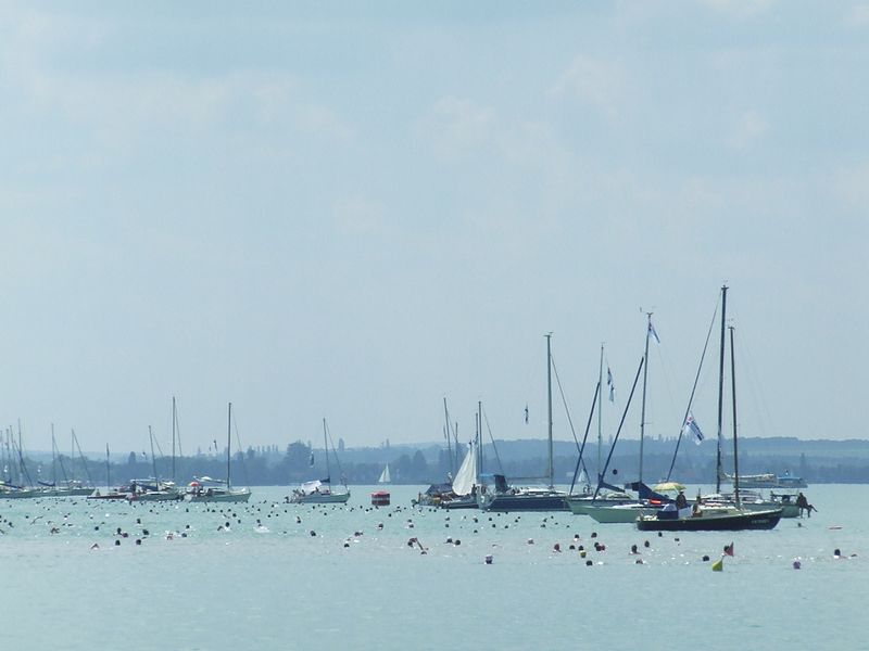 Balaton átúszás1