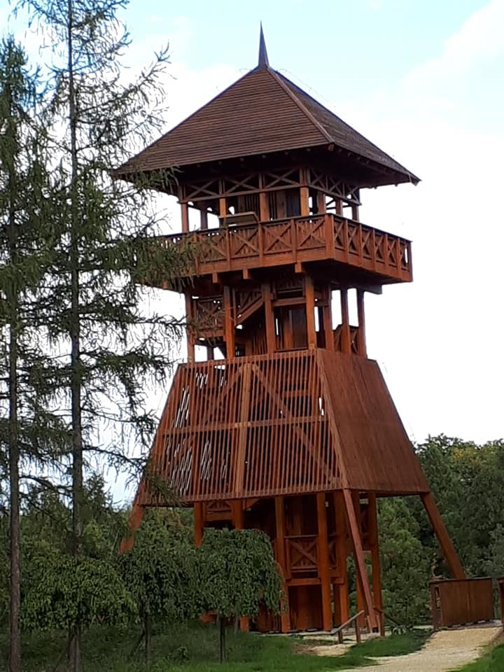 magyrorszag jeli arboretum rhododenron kilatoval1