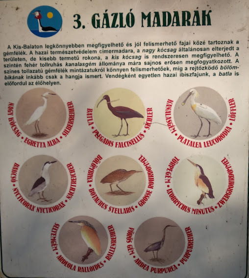 A Kányavári sziget - egy külön világ a Kis-Balatonban