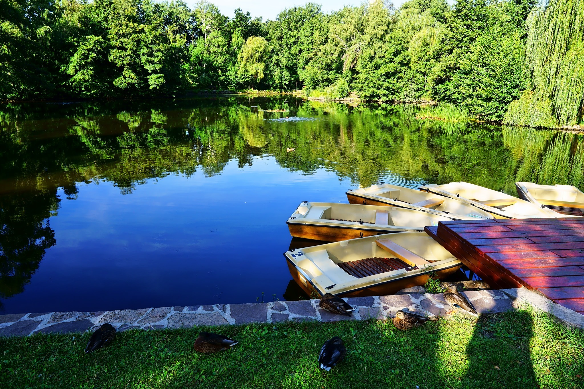 Sás tó csónakokkal