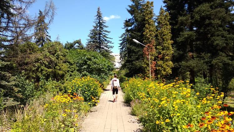 debrecen Batonikus kertx