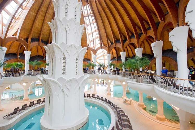 mo mako hagymatikum belso