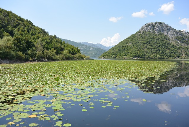 skadar lake