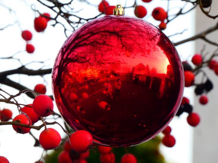 Bodensee meghökkentő 21