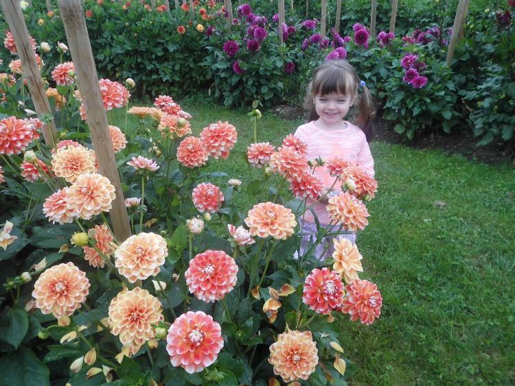 Bodensee pozitívumok 13