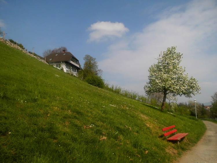 Bodensee pozitívumok 2