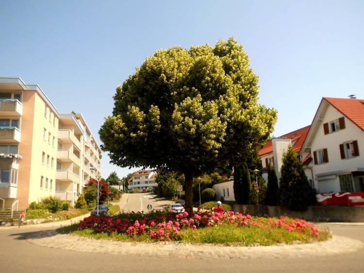 Bodensee pozitívumok 4