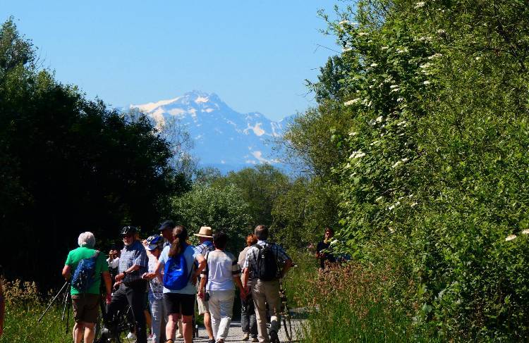 Bodensee pozitívumok 7