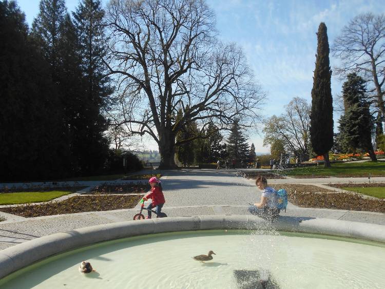 Mainau virágsziget15