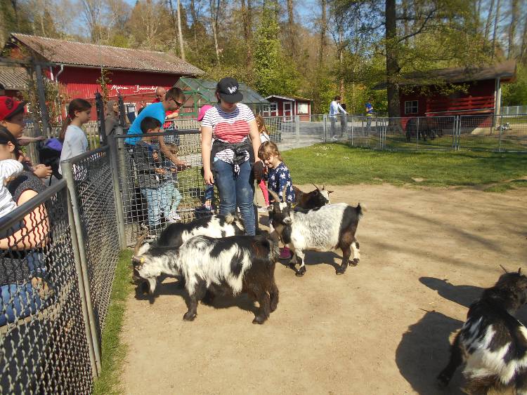 Mainau virágsziget17