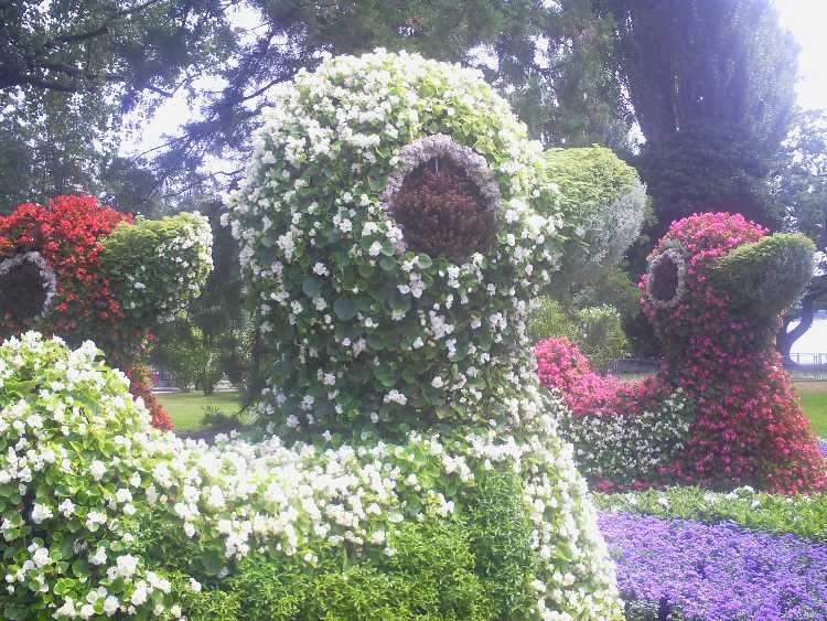 Mainau virágsziget2