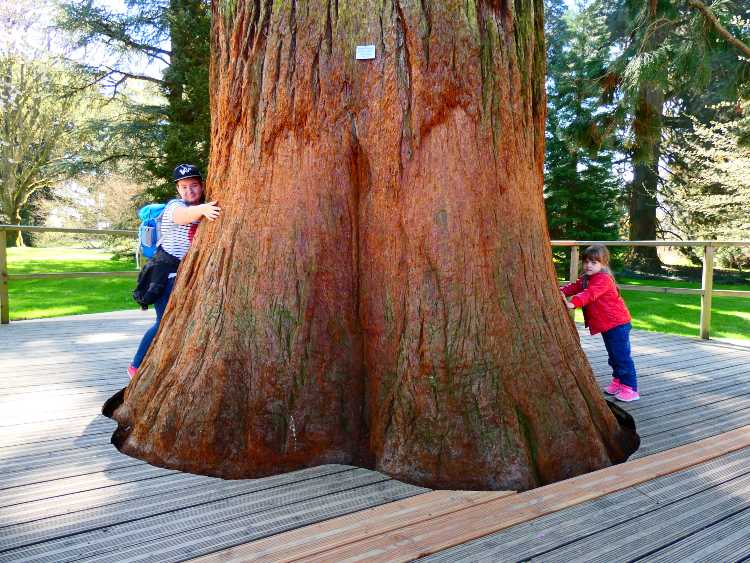 Mainau virágsziget4