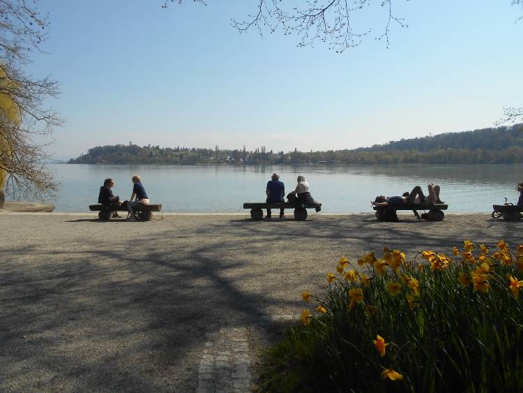 Mainau virágsziget6