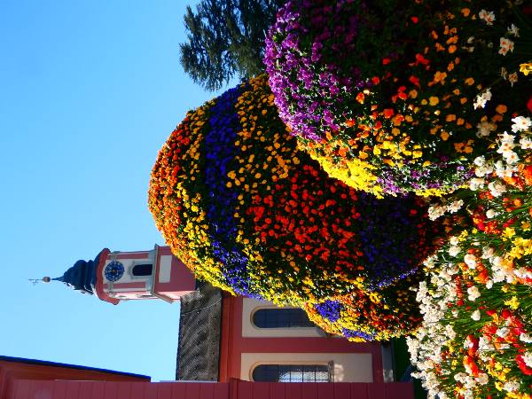 Mainau virágsziget8