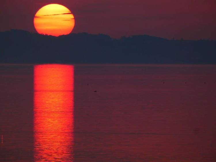 bodensee sunset