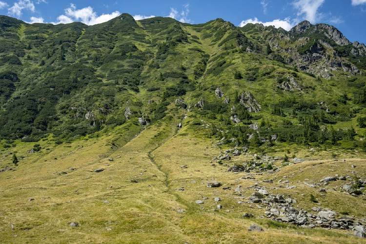 romania madaras hargita latkep1