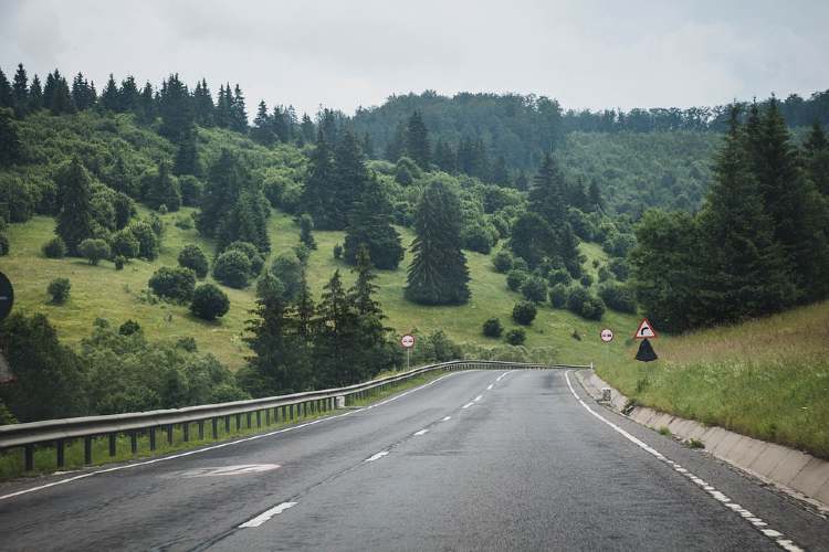 romania madaras ut fenyvessel1