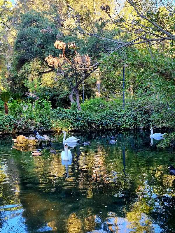 Sevilla Madár sziget