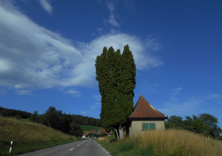 Appenzeller Schaukäserei 10