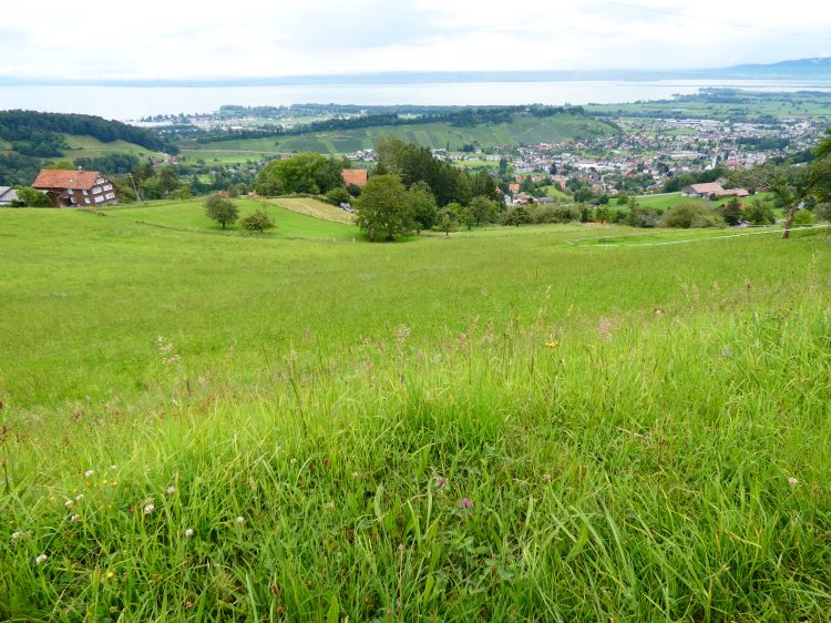 Appenzeller Schaukäserei 8