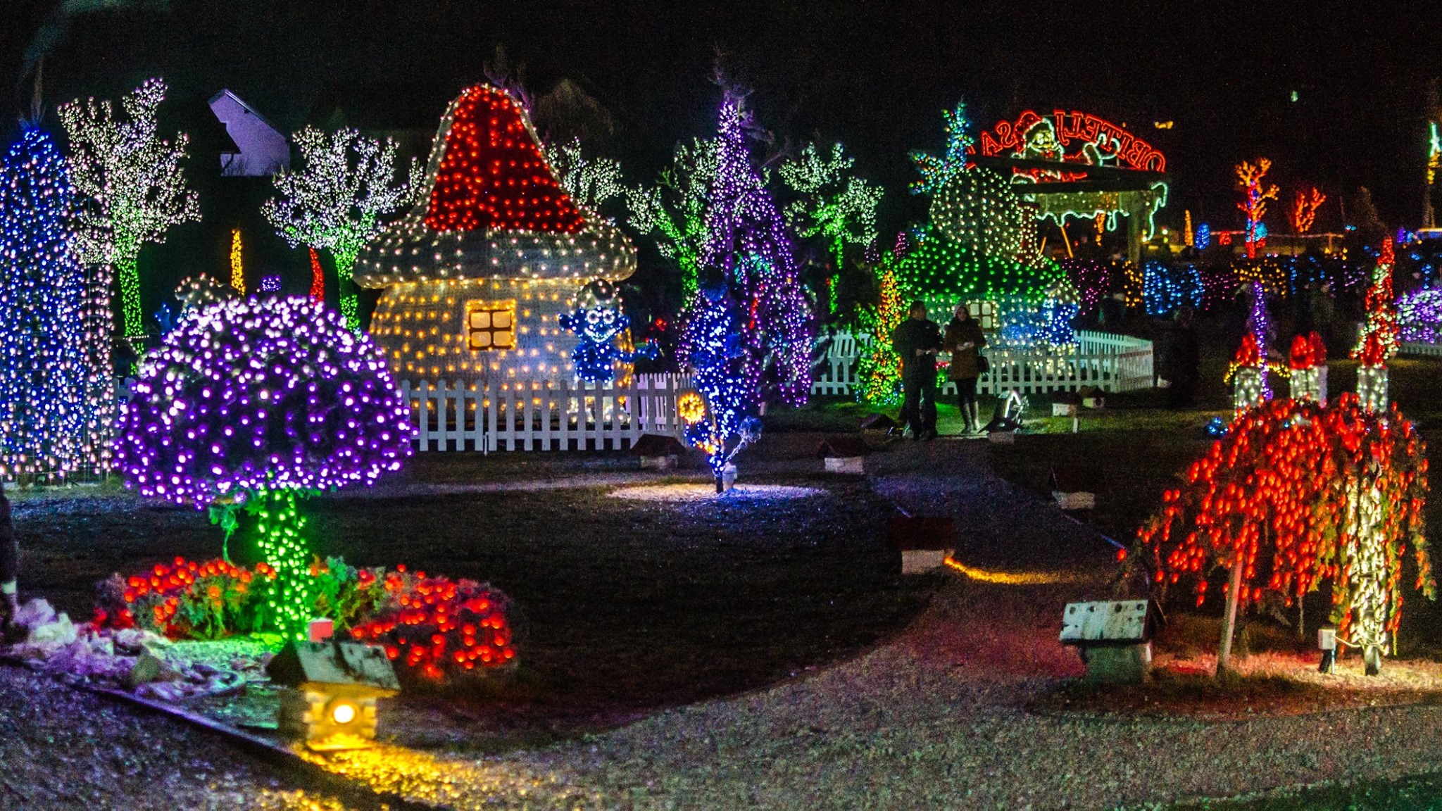 Csázma Pandúr Gábor