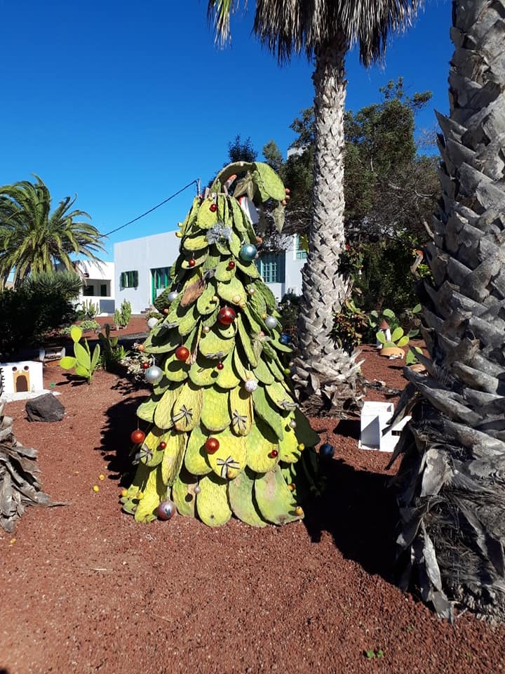 Lanzarote Meggyes Anikó